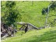 930 Old Bull Creek Road, Meadows SA 5201