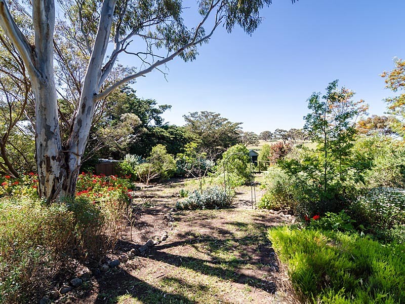3257 Strathalbyn Road, Strathalbyn SA 5255