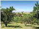 3257 Strathalbyn Road, Strathalbyn SA 5255