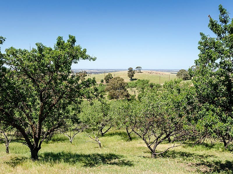 3257 Strathalbyn Road, Strathalbyn SA 5255