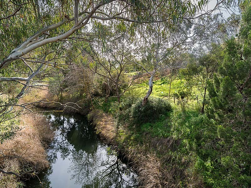 5 Neales Road, Strathalbyn SA 5255
