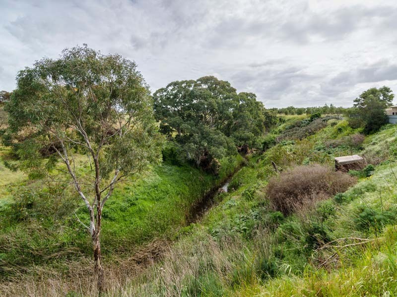 24 Angas Plains Road, Belvidere SA 5255