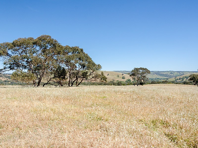 Lot 1 / 379 Signal Flat Road, Ashbourne SA 5157