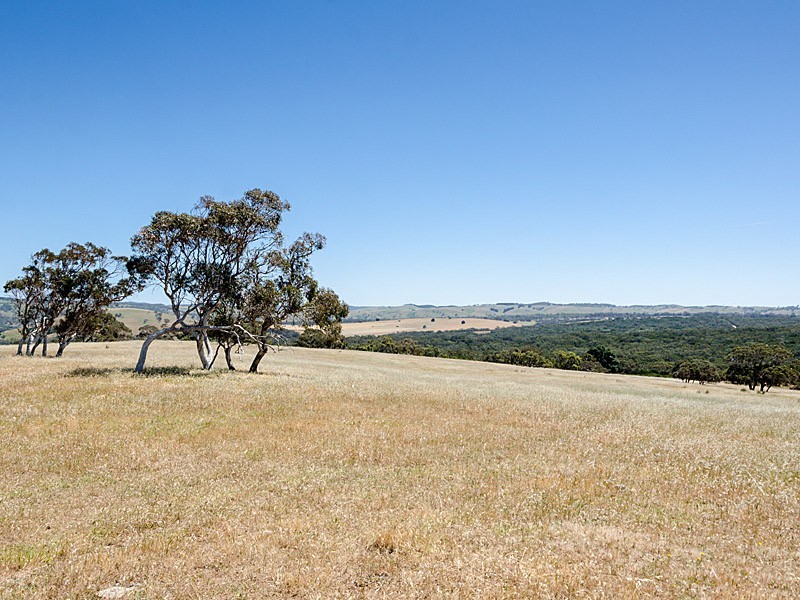 Lot 1 / 379 Signal Flat Road, Ashbourne SA 5157