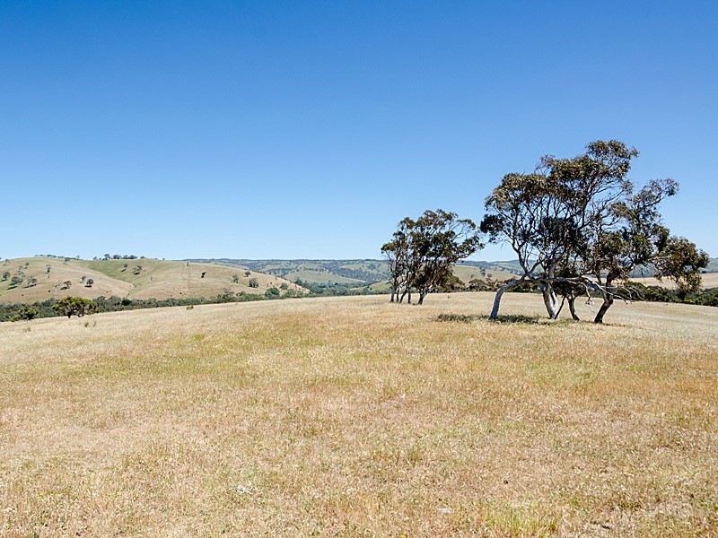 Lot 1 / 379 Signal Flat Road, Ashbourne SA 5157