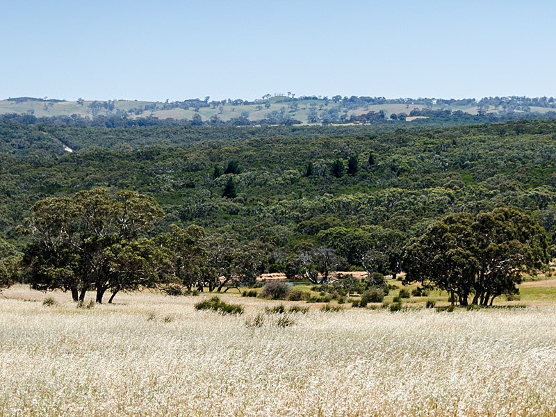 Lot 1 / 379 Signal Flat Road, Ashbourne SA 5157