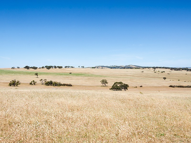 Lot 1 / 379 Signal Flat Road, Ashbourne SA 5157