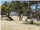Lot 1 / 379 Signal Flat Road, Ashbourne SA 5157