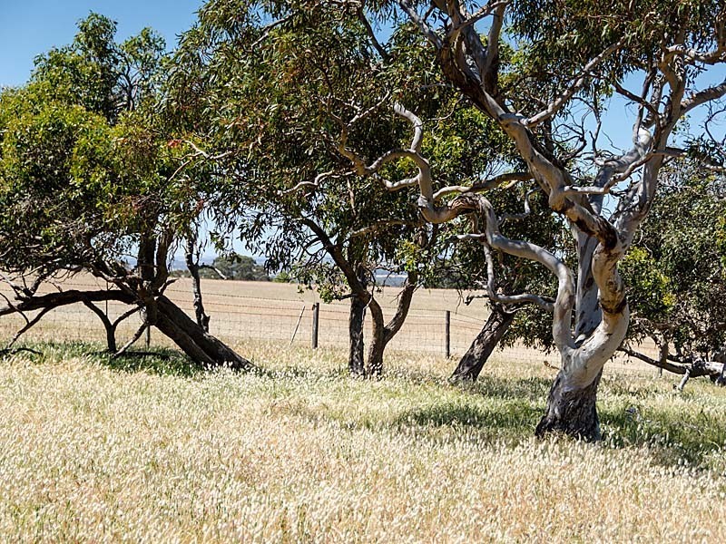 Lot 1 / 379 Signal Flat Road, Ashbourne SA 5157