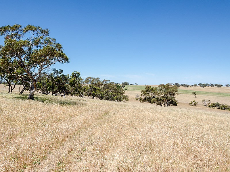 Lot 1 / 379 Signal Flat Road, Ashbourne SA 5157