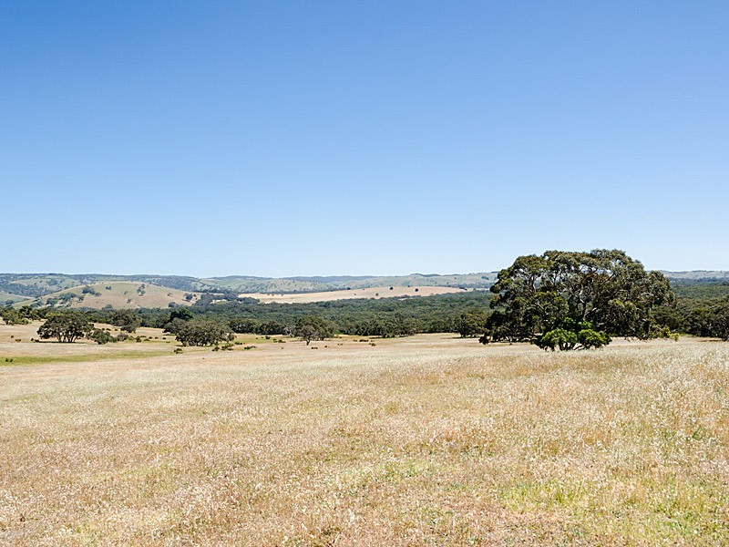 Lot 1 / 379 Signal Flat Road, Ashbourne SA 5157
