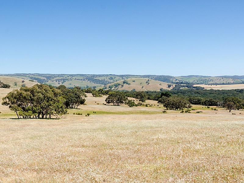 Lot 1 / 379 Signal Flat Road, Ashbourne SA 5157
