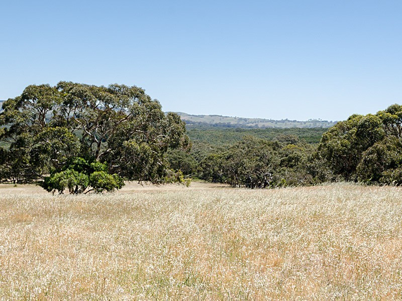 Lot 1 / 379 Signal Flat Road, Ashbourne SA 5157