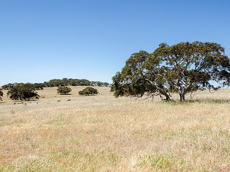 Lot 1 / 379 Signal Flat Road, Ashbourne SA 5157