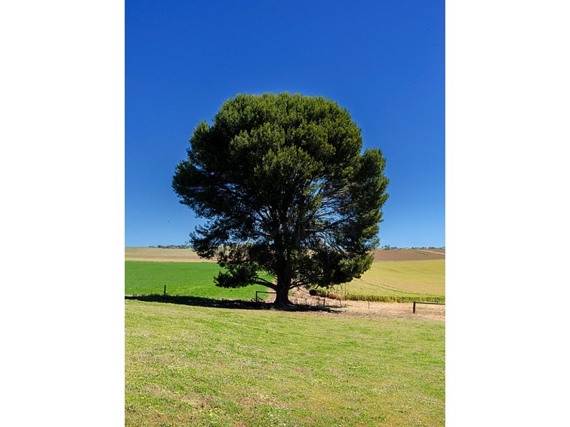 Lot 307 Kerslake Court -, Strathalbyn SA 5255