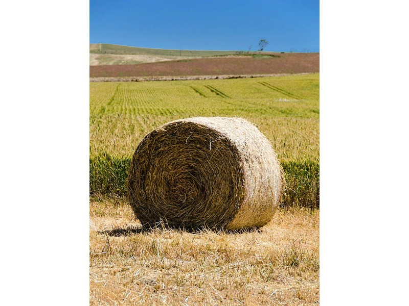 Lot 307 Kerslake Court -, Strathalbyn SA 5255