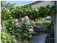 43 Coxe Street, Milang SA 5256