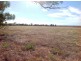 1488 Nine Mile Road, Milang SA 5256
