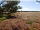 1488 Nine Mile Road, Milang SA 5256