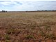 1488 Nine Mile Road, Milang SA 5256
