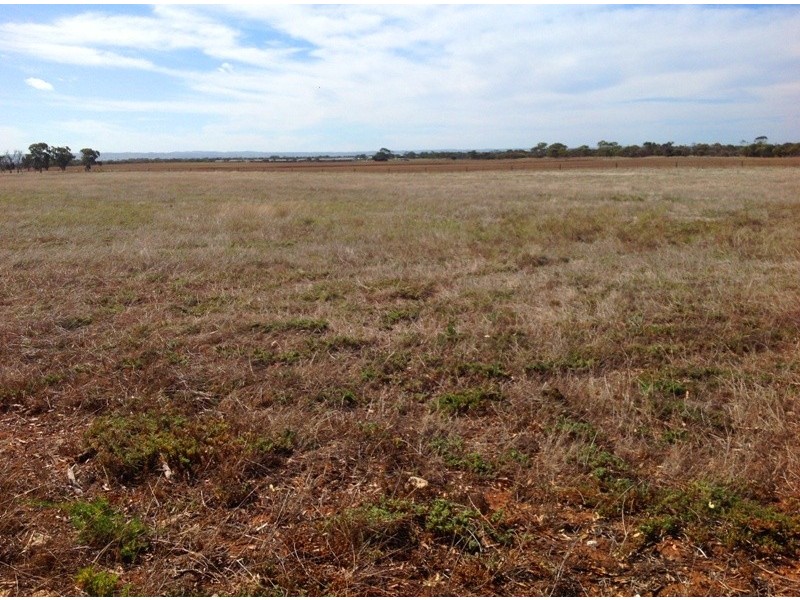 1488 Nine Mile Road, Milang SA 5256