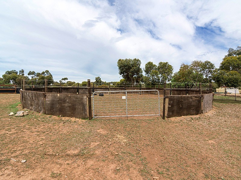 6 Helen Court, Strathalbyn SA 5255