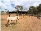 6 Helen Court, Strathalbyn SA 5255