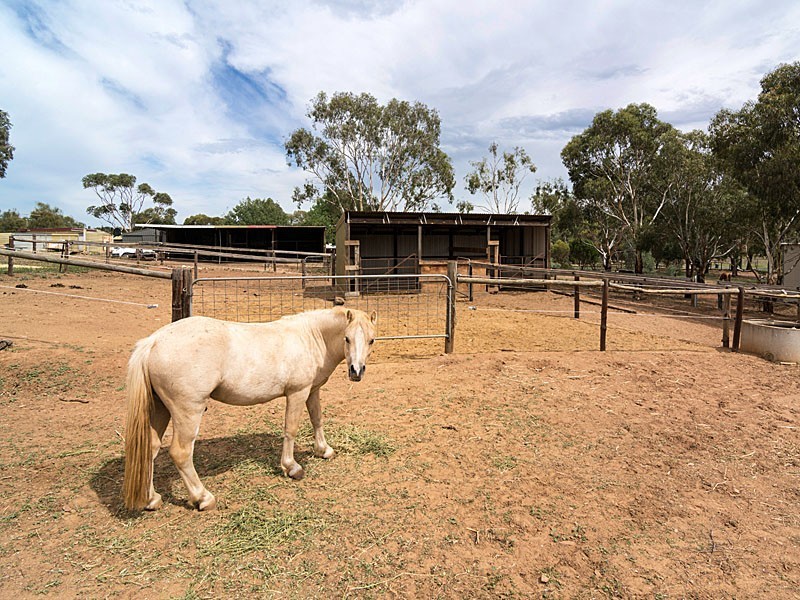 6 Helen Court, Strathalbyn SA 5255