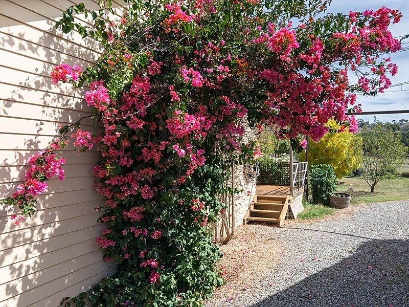 1324 Bull Creek Road, Ashbourne SA 5157