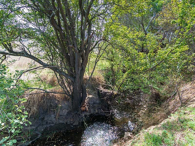 1324 Bull Creek Road, Ashbourne SA 5157