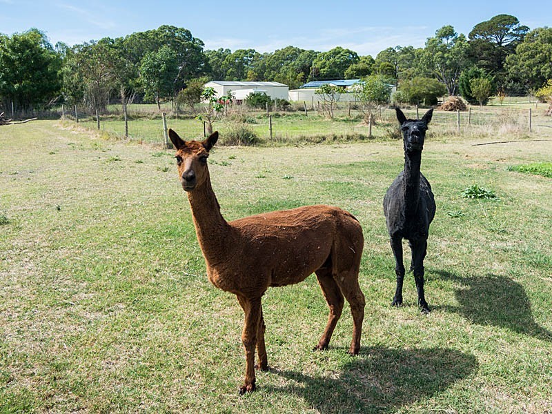 1324 Bull Creek Road, Ashbourne SA 5157