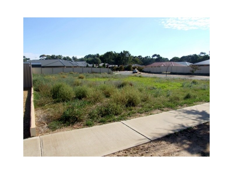 31 Braemar Drive, Strathalbyn SA 5255