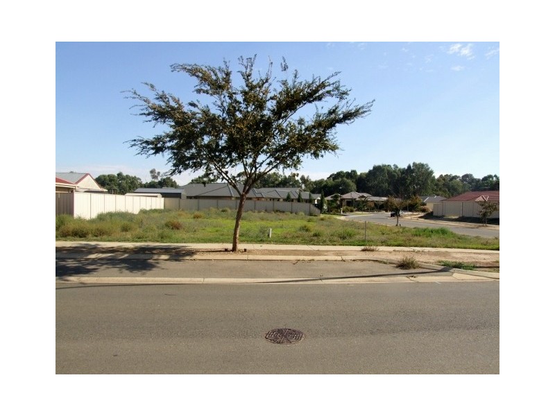 31 Braemar Drive, Strathalbyn SA 5255