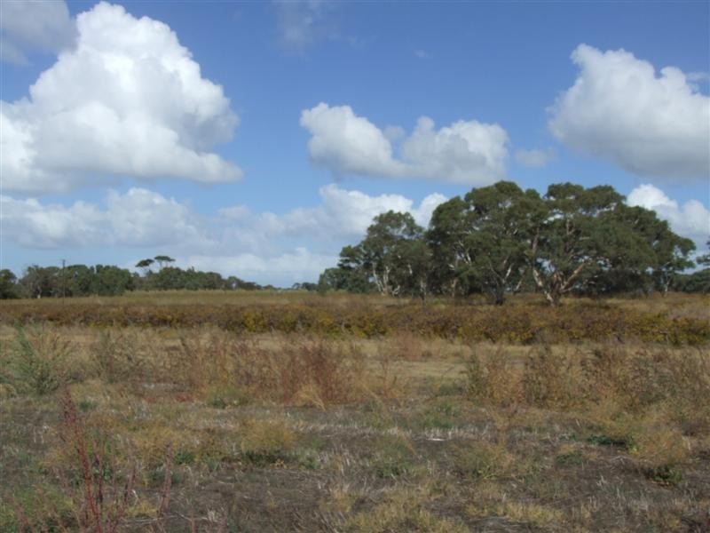 Lot 51 Leslie Road, Angas Plains SA 5255