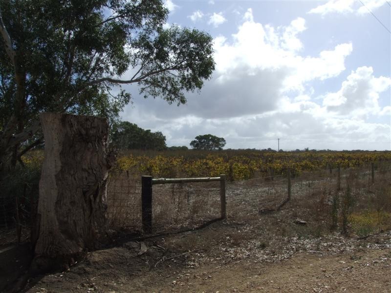 Lot 51 Leslie Road, Angas Plains SA 5255