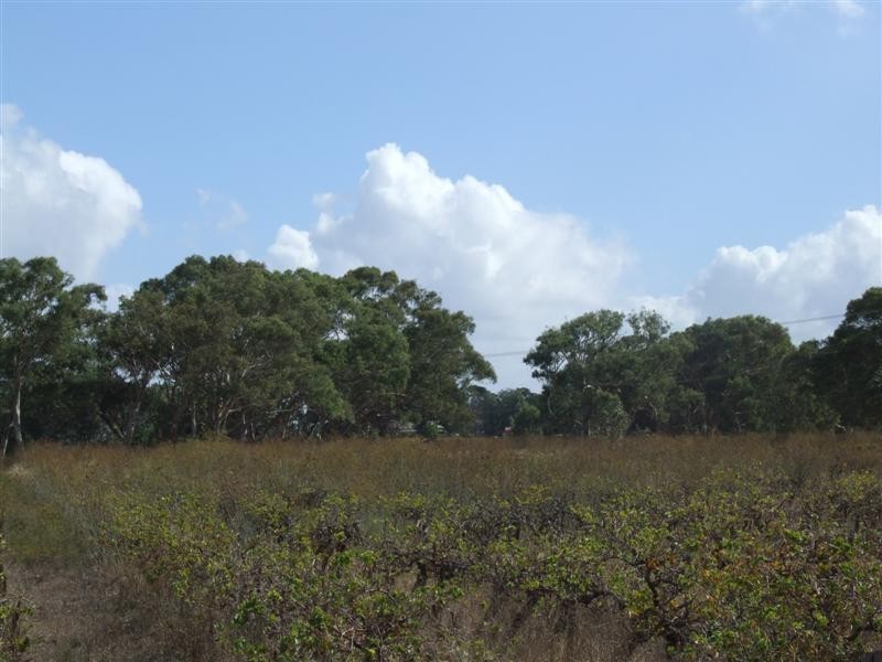 Lot 51 Leslie Road, Angas Plains SA 5255