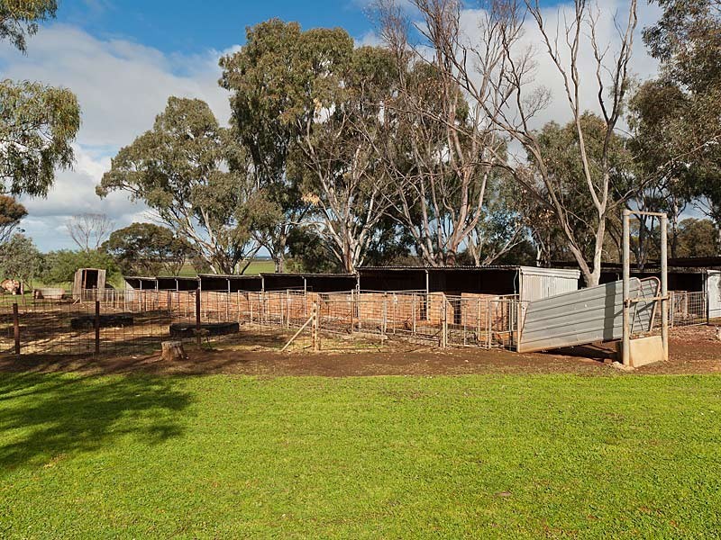 278 Burnside Road, Strathalbyn SA 5255