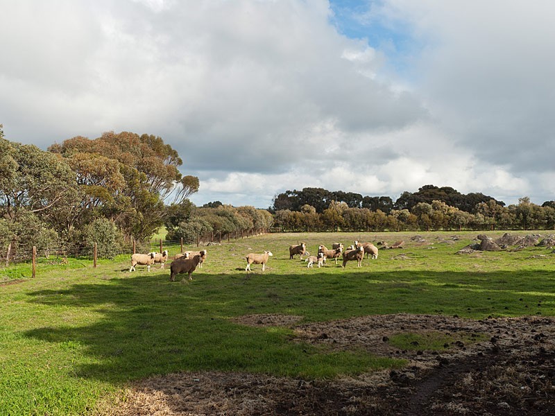 278 Burnside Road, Strathalbyn SA 5255