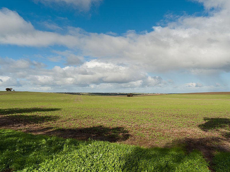 278 Burnside Road, Strathalbyn SA 5255