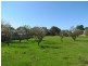 Lot 121 Langhorne Creek Road, Langhorne Creek SA 5255