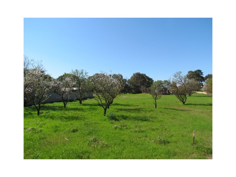 Lot 121 Langhorne Creek Road, Langhorne Creek SA 5255