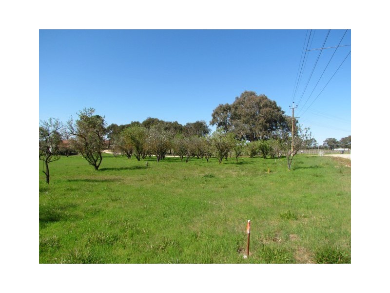 Lot 121 Langhorne Creek Road, Langhorne Creek SA 5255