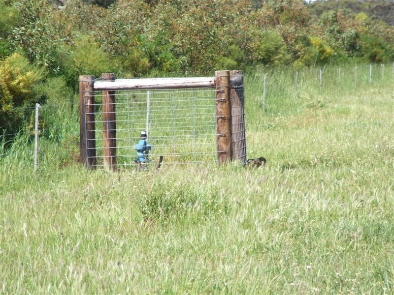 Lot 301 Landseer Road, Milang SA 5256