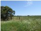 Lot 301 Landseer Road, Milang SA 5256
