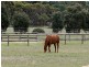 44 Main Road, Finniss SA 5255