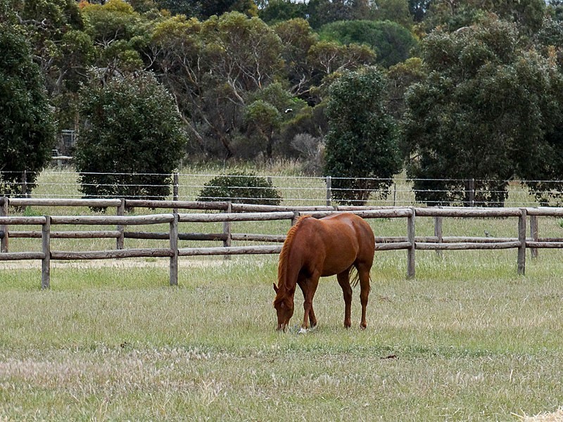 44 Main Road, Finniss SA 5255