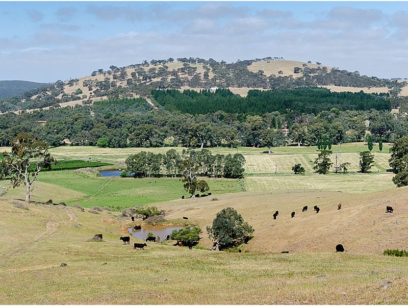 Lot 2 Maidment Road, Ashbourne SA 5157