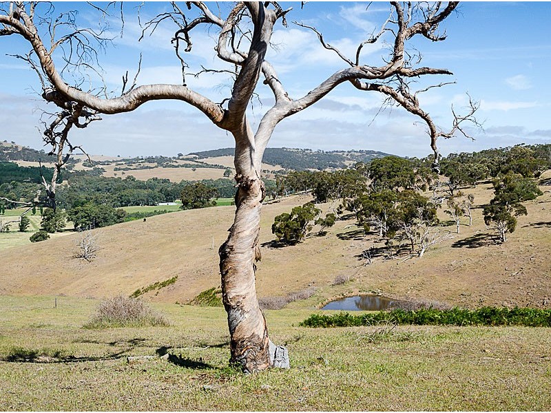 Lot 2 Maidment Road, Ashbourne SA 5157