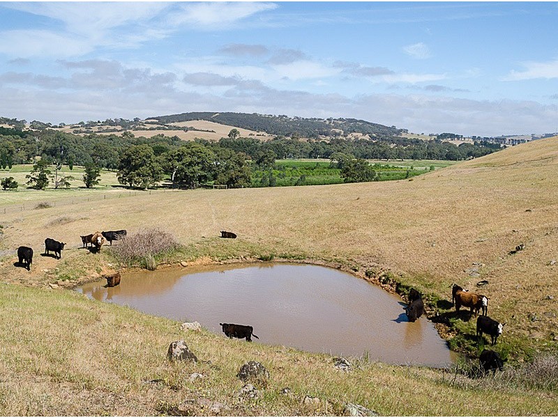 Lot 2 Maidment Road, Ashbourne SA 5157