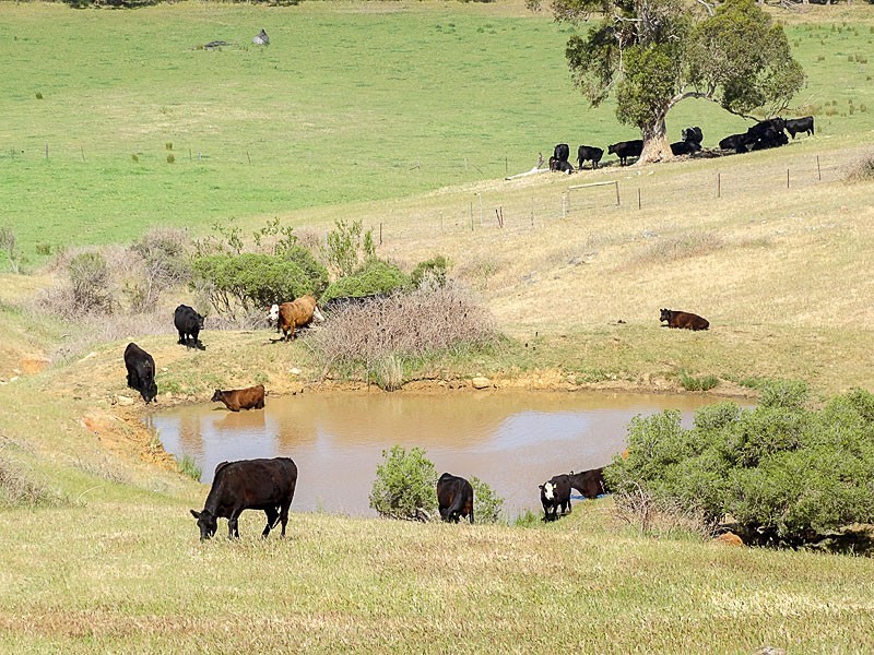 Lot 2 Maidment Road, Ashbourne SA 5157